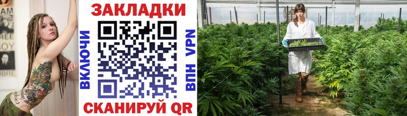 Купить закладку МЕТАДОН  Мефедрон  Гашиш  Бошки Шишки  Чистополь