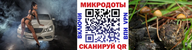 Купить  Чистополь  Галлюциногенные грибы Psilocybine cubensis 