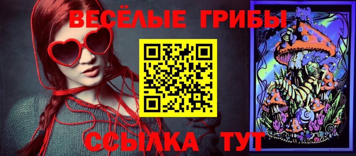 Галлюциногенные грибы прущие грибы Чистополь