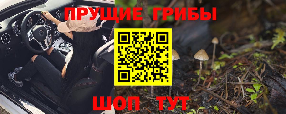 Чистополь  Галлюциногенные грибы Cubensis  Вход с VPN  Псилоцибиновые грибы MAGIC MUSHROOMS 